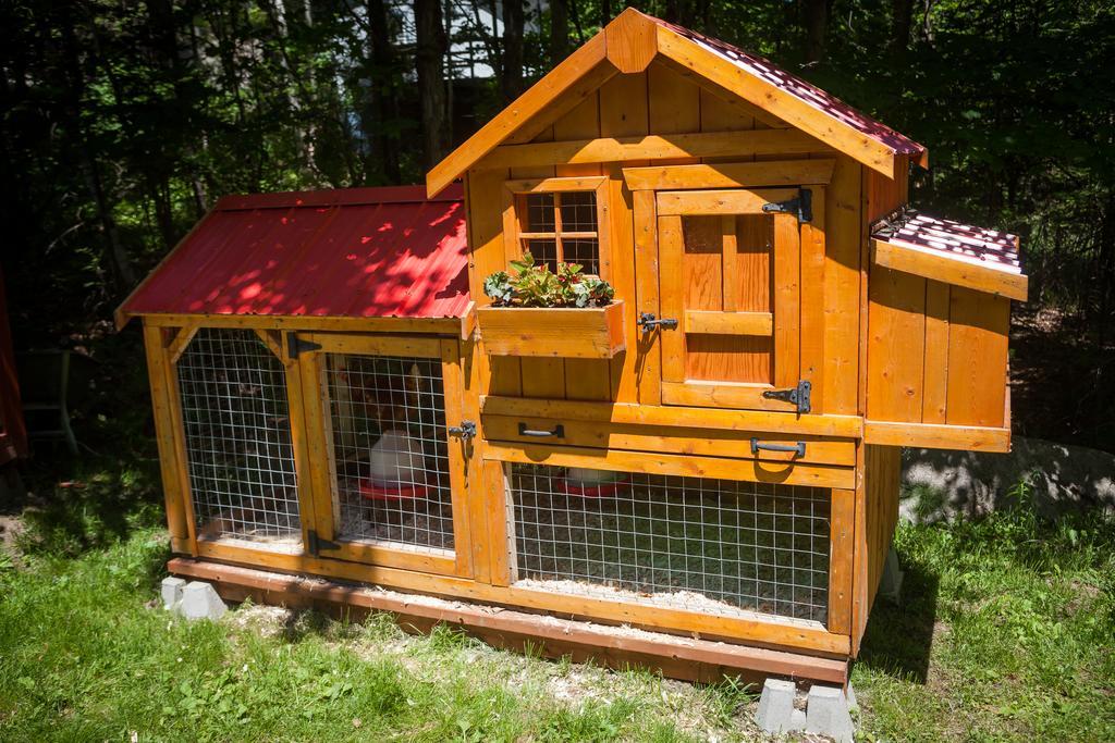 La Chaumiere De L'Anse Bed & Breakfast Mont-Tremblant Exterior photo