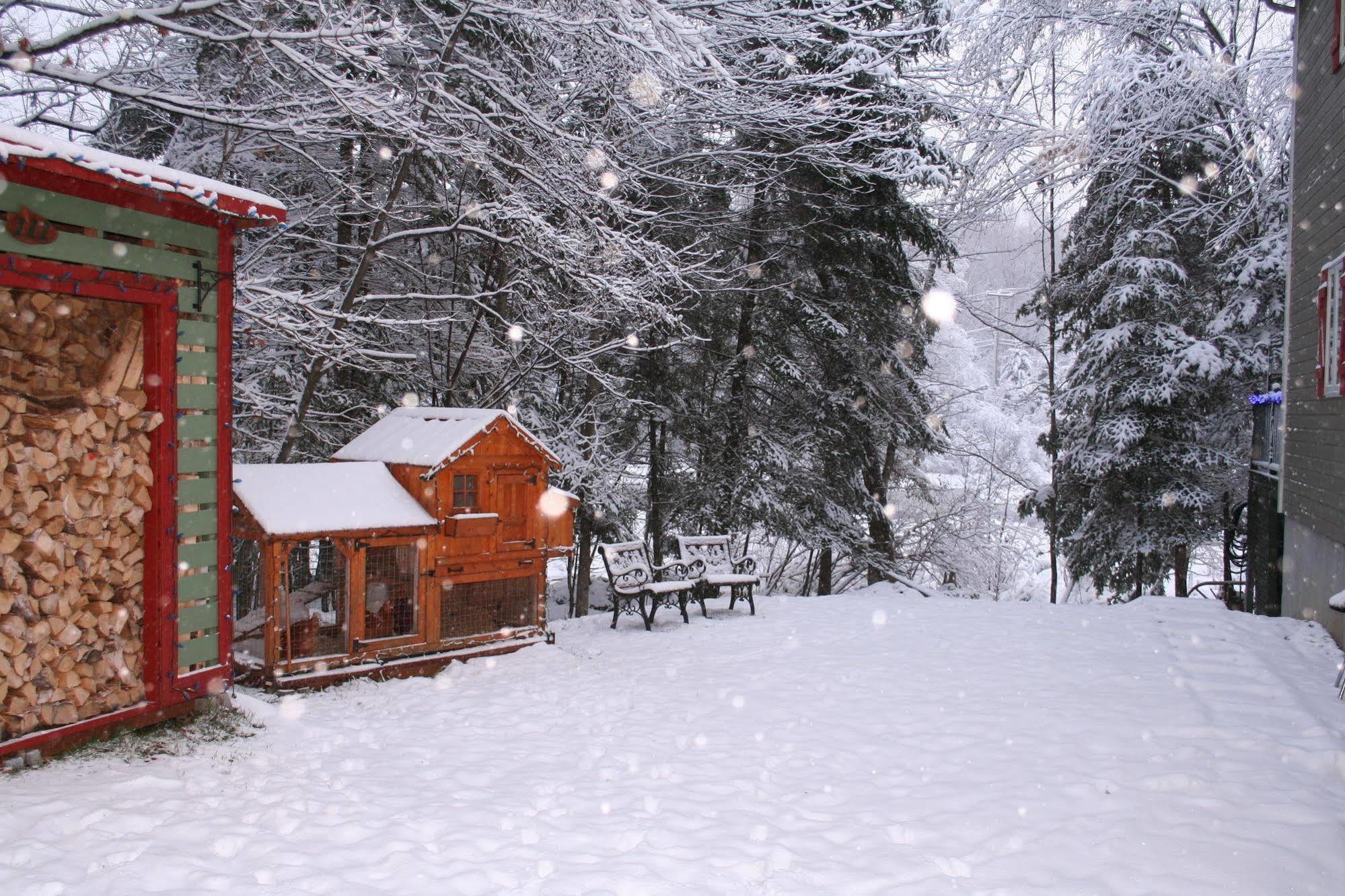 La Chaumiere De L'Anse Bed & Breakfast Mont-Tremblant Exterior photo